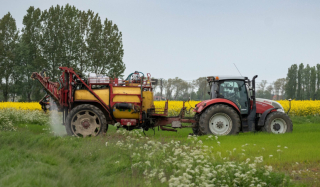 Pesticides alternatifs