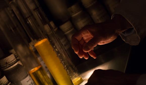 Guy Delforge : Maître Parfumeur