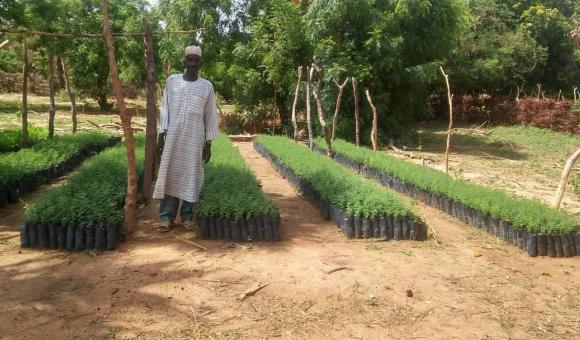 Amadou KIEMDE treen nursery at Gargaboulé (Pobé Mengao) en fin juin 2019