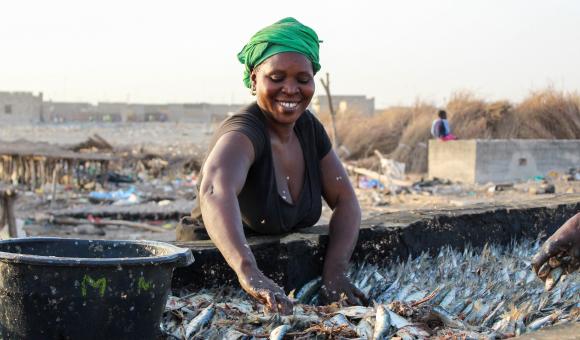 Women in the fishing industry at Joal-Fadiouth
