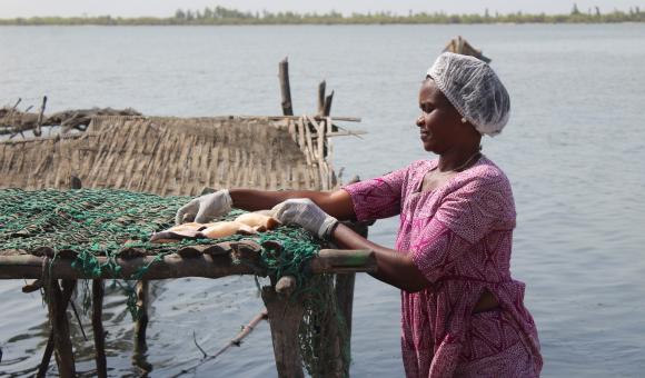 Women in the fishing industry at Joal-Fadiouth