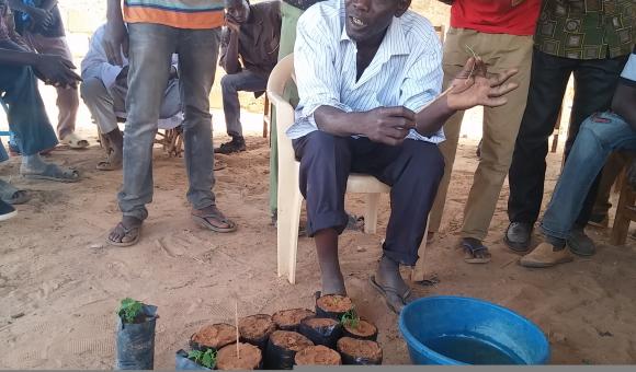 Tree growers’ training - Seeding (Djibo 20-03-18) 