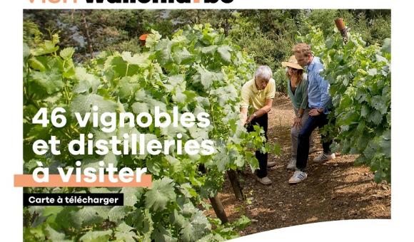 46 vignobles et distilleries à visiter