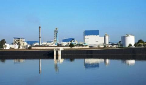 Chicory Inulin factory in Chile