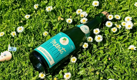 A bottle of Meerts Tilquin infused with Roussanne grapes