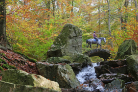 Horse riding in Wallonia (c) WBT - Arnaud Siquet