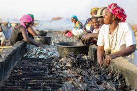 Women in the fishing industry at Joal-Fadiouth - © APEFE