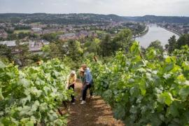 Vignoble Le Clos des Prebendiers Huy