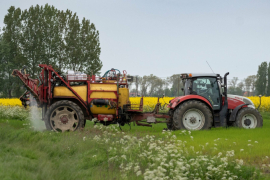 Alternative pesticides