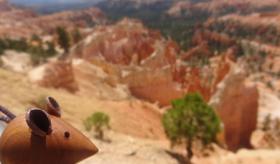 vignette_CanyonUtah.JPG
