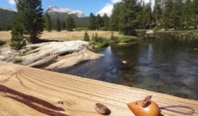 vignette_Parc20Yosemite-Californie.jpg