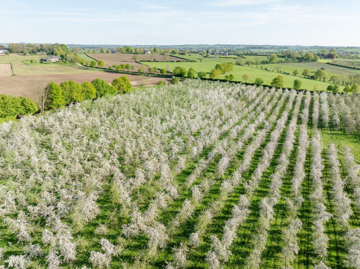 DJI_0924_0.jpg